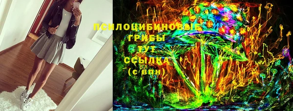 тгк Абаза
