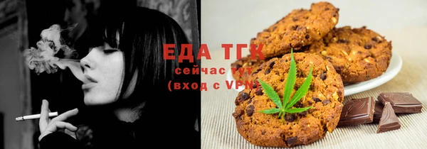 индика Новокубанск