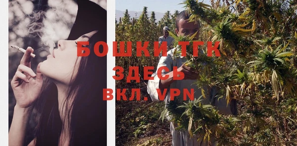 PSILOCYBIN Абдулино
