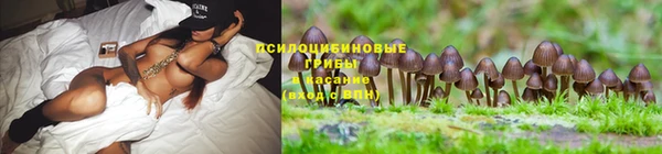 мескалин Новодвинск