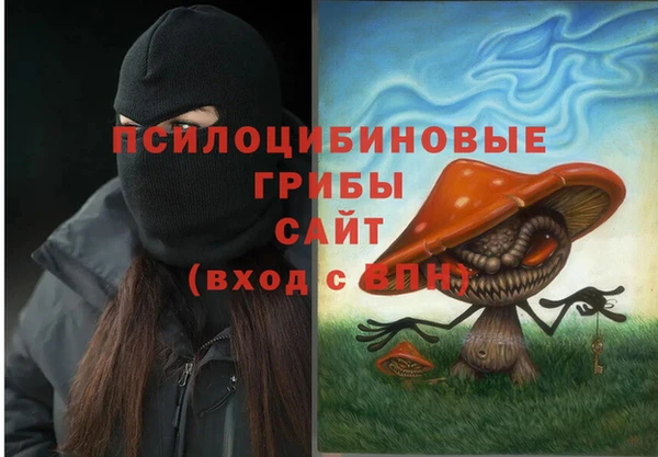 мескалин Новодвинск