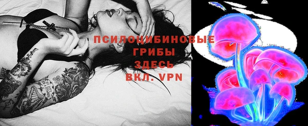 индика Новокубанск