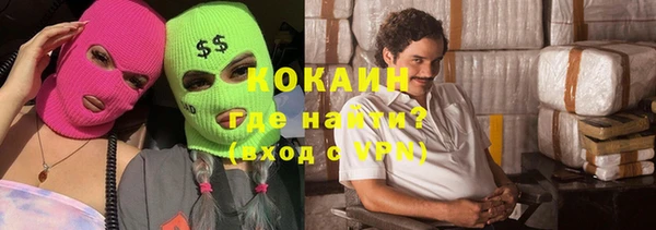 индика Новокубанск