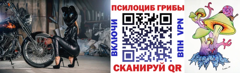 Галлюциногенные грибы мицелий  Лосино-Петровский 